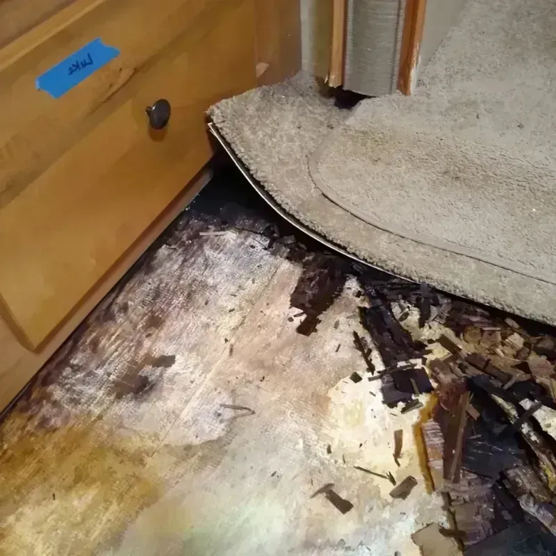 Best Wood Floor Water Damage Service in Wentzville, MO